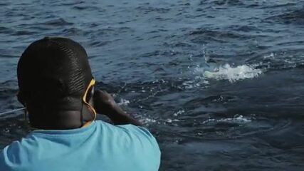 Дразнилка без крючка держит парусника рядом с лодкой под Малинди (Кения)