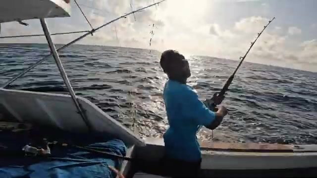 Дразнилка без крючка держит парусника рядом с лодкой под Малинди (Кения)