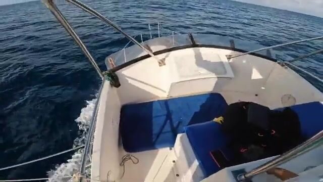 Дразнилка без крючка держит парусника рядом с лодкой под Малинди (Кения)