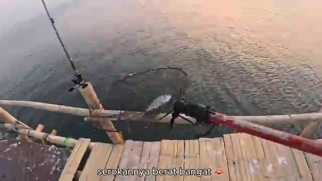 Джакартский баган: что на самом деле ловят ночью в Яванском море у Муара-Камал