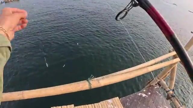 Джакартский баган: что на самом деле ловят ночью в Яванском море у Муара-Камал