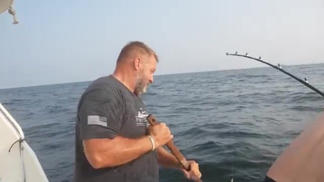 622 килограмма гигантского тунца из залива Мэн у берегов США