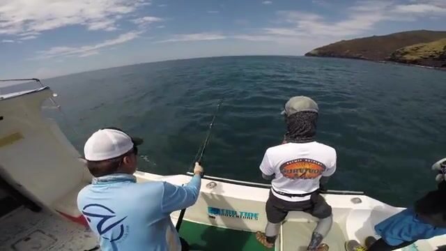 Комодо: течения моря Флорес и охота на исполинского каранкса