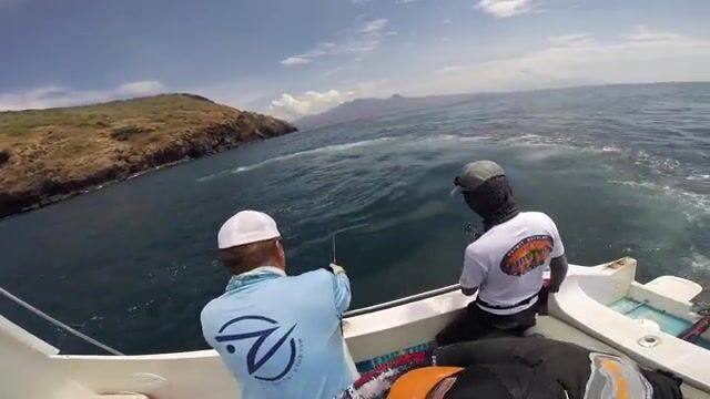 Комодо: течения моря Флорес и охота на исполинского каранкса