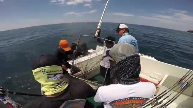 Комодо: течения моря Флорес и охота на исполинского каранкса