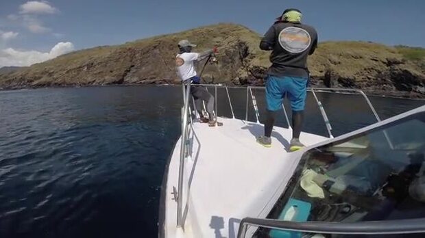 Комодо: течения моря Флорес и охота на исполинского каранкса