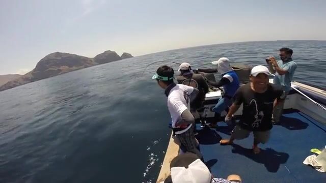 Комодо: течения моря Флорес и охота на исполинского каранкса