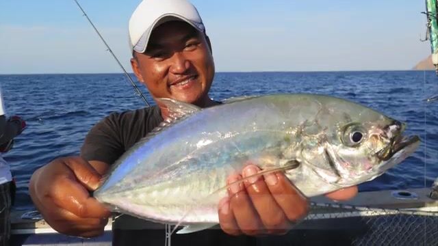 Комодо: течения моря Флорес и охота на исполинского каранкса