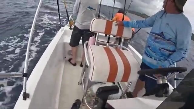 Тунец у Роатана в Гондурасе клюёт, только не тот, что нужен