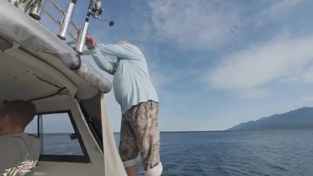 Проверь фрикцион перед выходом: у Итурупа берёт голубой тунец под сто кило
