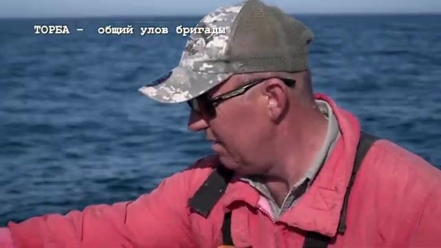 Калкан: сорок лет тарханкутской путины ради камбалы весом до пятнадцати кило