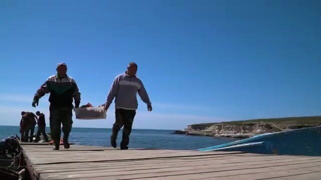 Калкан: сорок лет тарханкутской путины ради камбалы весом до пятнадцати кило