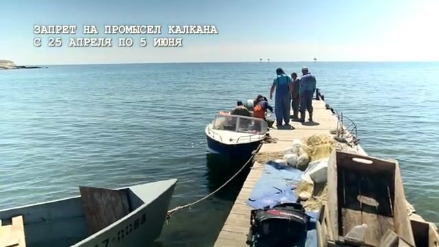 Калкан: сорок лет тарханкутской путины ради камбалы весом до пятнадцати кило