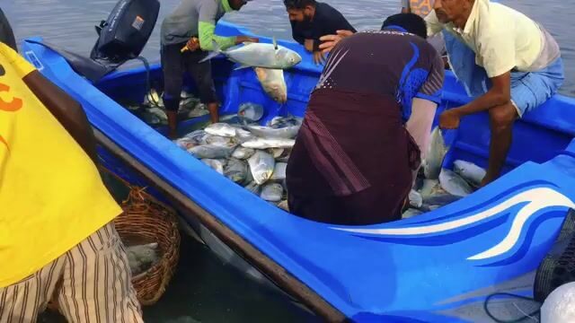 «Рыба здесь берёт на самом мелководье» - лагуна Калпития встречает лодку с накидной сетью