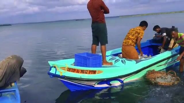 «Рыба здесь берёт на самом мелководье» - лагуна Калпития встречает лодку с накидной сетью