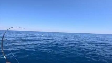 Мексиканский залив: 40 миль от берега и тунец на аутригер