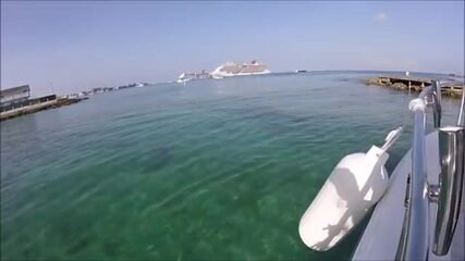 «Только не акула!» - барракуда и тарпон в глубокой воде у Гранд-Каймана