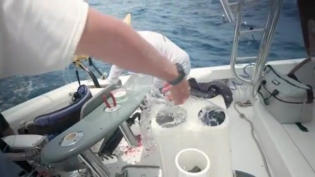 Тысяча буёв у Абиджана скрывают кое-что покрупнее ваху (Кот-д'Ивуар)