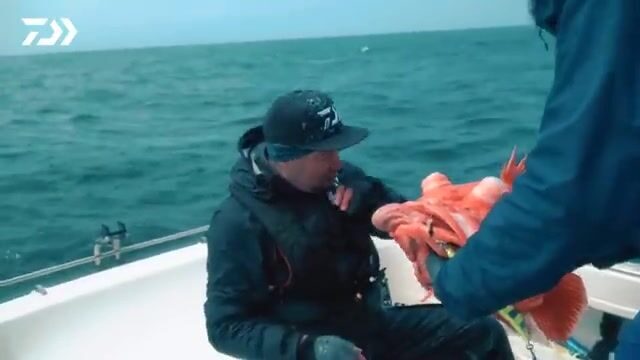 13 килограммов чёрного палтуса с глубины 385 метров у Камчатки