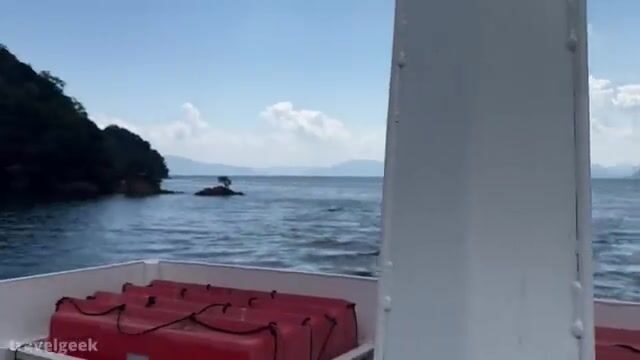 Двести пятьдесят лодочных гаражей Ине смотрят прямо в Японское море