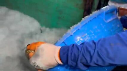 Куда уходит лодка, если тунец в Индийском океане клюёт только на горизонте?