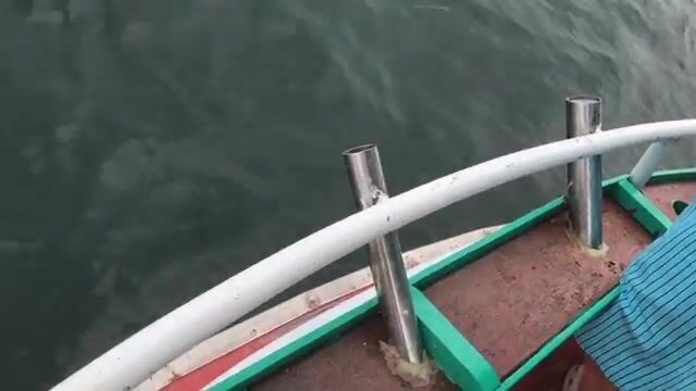 «Самсонг» на сорок минут пути: утро в заливе у Хуахина