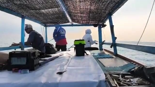 Собираешься в Яванское море - бери снасть под макрель и каранкса
