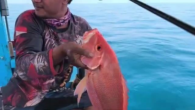 Собираешься в Яванское море - бери снасть под макрель и каранкса