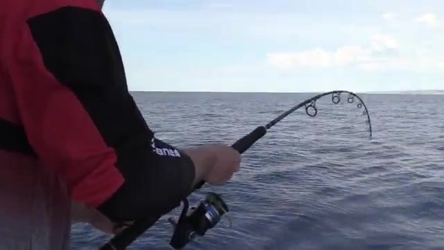 От Ибицы до Майорки за один переход: шесть-семь узлов на троллинге