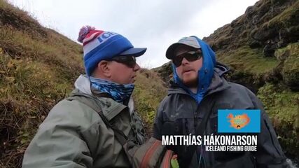 «Совсем сумасшедшая» - лосось бьётся на исландской Мюрарквисл