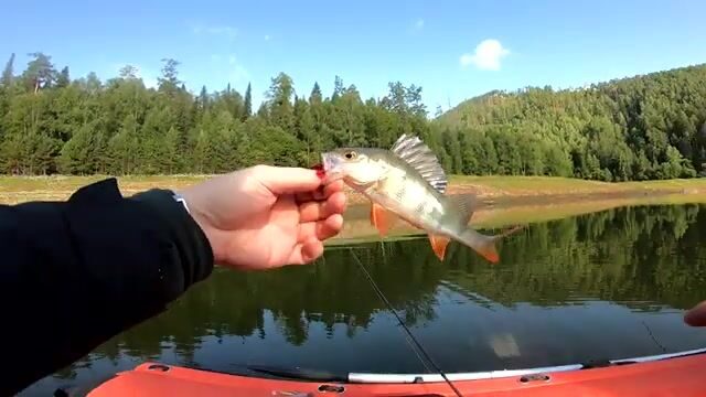 Царские ворота на Красноярском водохранилище: щука под скалой