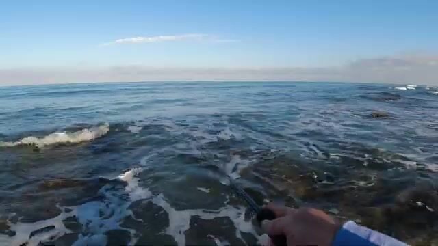 Джиг 2,5 грамма и крючок номер шесть: боевое крещение у Хайфы