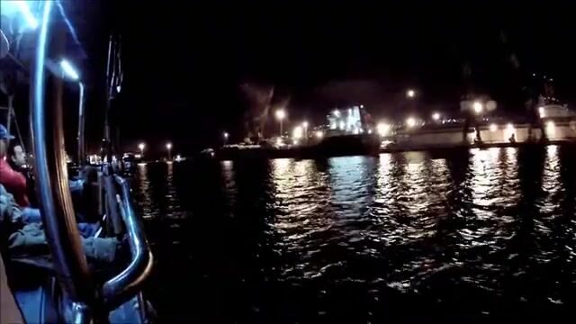 Полночь у мола Хайфы: сарган идёт на свет фонаря