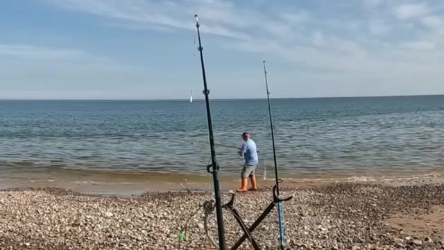 Kingston Beach в Шотландии: форель берёт на рассвете