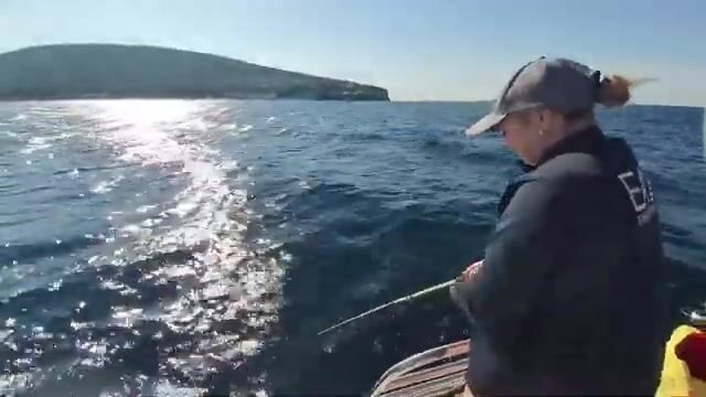 Кабардинка в сентябрьский шторм: ставрида идёт косяком