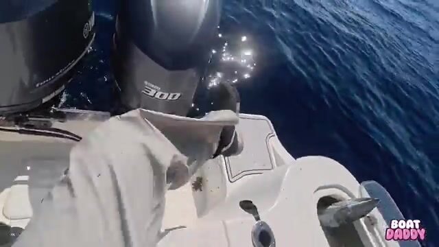 Что творится на буграх Исламорады, когда капитан Дэн уводит лодку в троллинг?