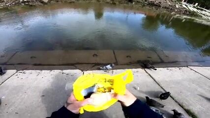 Кача сибирская, не крымская: ельцы и пескари клюют под Красноярском