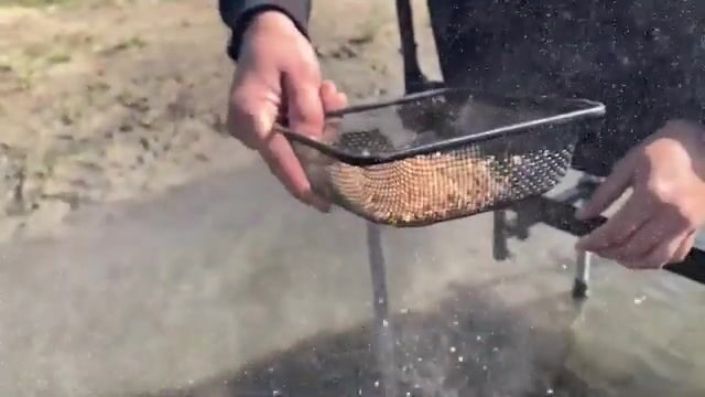Ночь в фидерном кресле на Преголе у Лозового: карась ждёт крупный корм