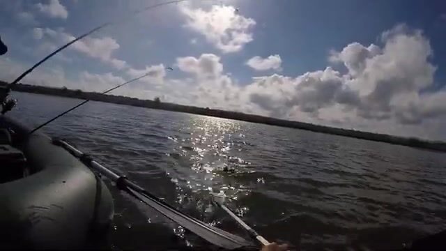 Ждём сома на Балабинской косе, а первым в садок ложится лещ