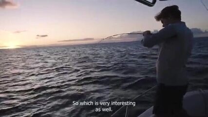 50 видов рыбы у Ле Морна - гид Амори всех не считает