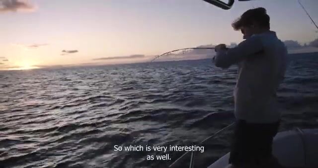 50 видов рыбы у Ле Морна - гид Амори всех не считает