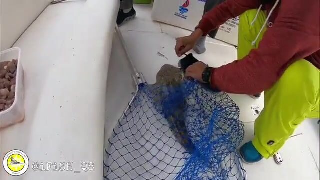 Можно ли высидеть смену на молу Кувейта, когда солнце не даёт пощады?