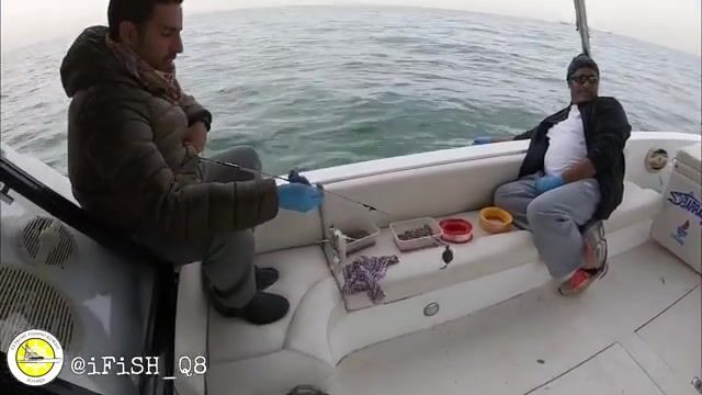 Можно ли высидеть смену на молу Кувейта, когда солнце не даёт пощады?