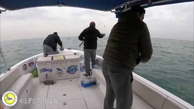 Можно ли высидеть смену на молу Кувейта, когда солнце не даёт пощады?