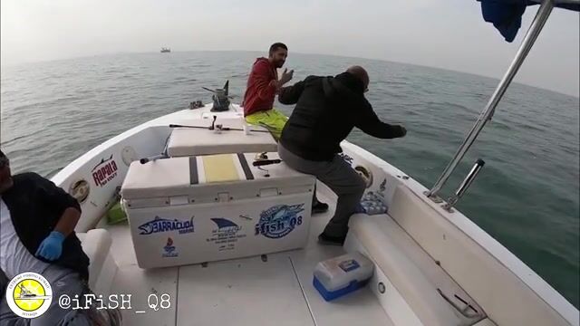 Можно ли высидеть смену на молу Кувейта, когда солнце не даёт пощады?