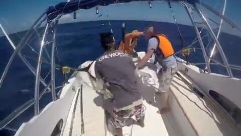 Двести фунтов желтопёрого тунца у мыса Ле-Морн на Маврикии