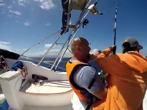 Двести фунтов желтопёрого тунца у мыса Ле-Морн на Маврикии