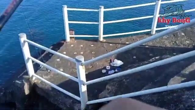 Что ловится на ультралайт вдоль рифа Манадо - пока не забросишь, не узнаешь