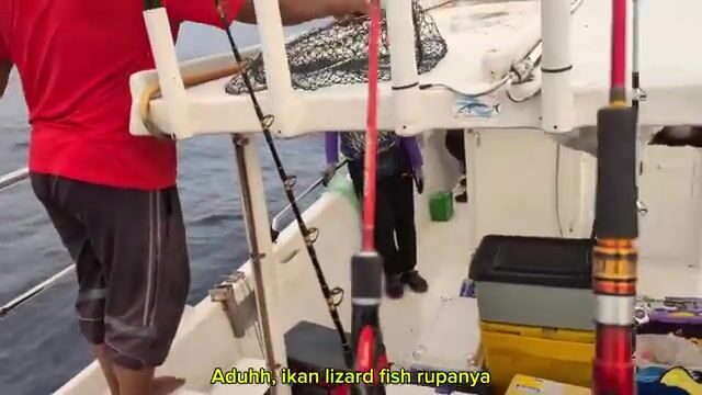Пенанг учит джиговать: каранкс и тенгири на глубокой воде