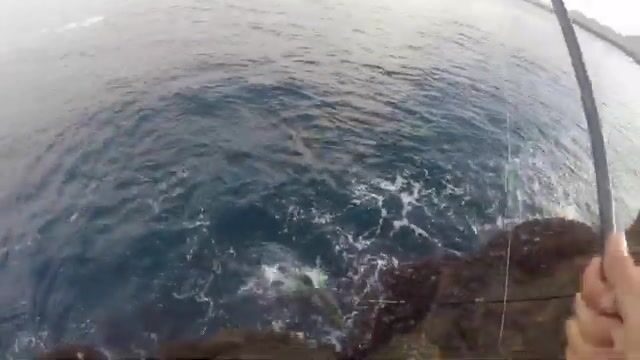Бери тяжёлый спиннинг: махи-махи берёт с берега на Лансароте